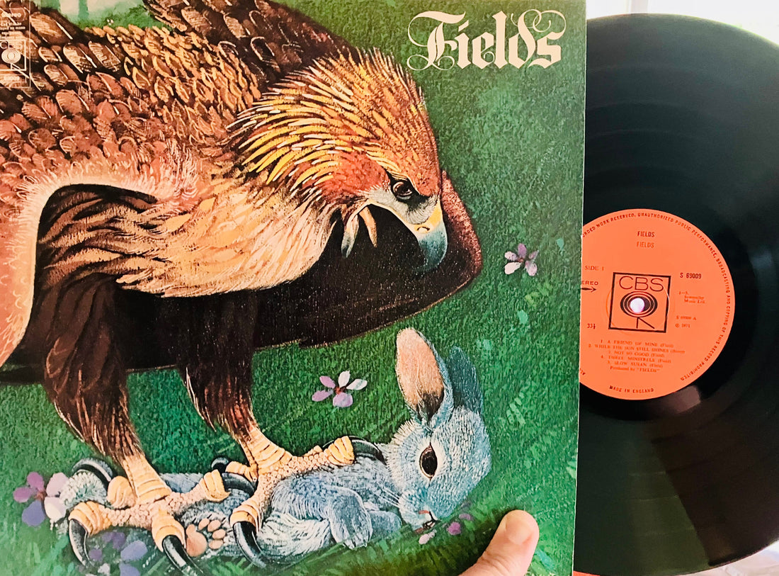 Fields-Fields